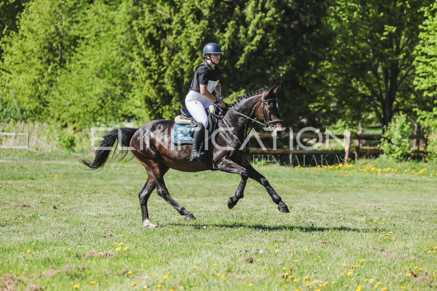 Parnu_CHI_3V_2026_CCN80_XC_183