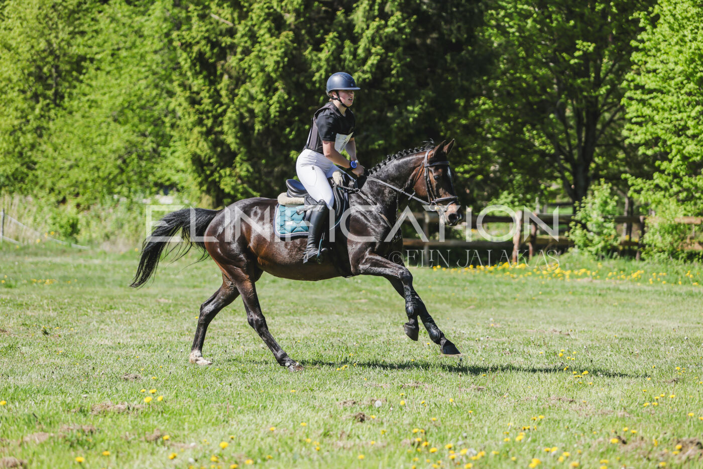Parnu_CHI_3V_2026_CCN80_XC_184