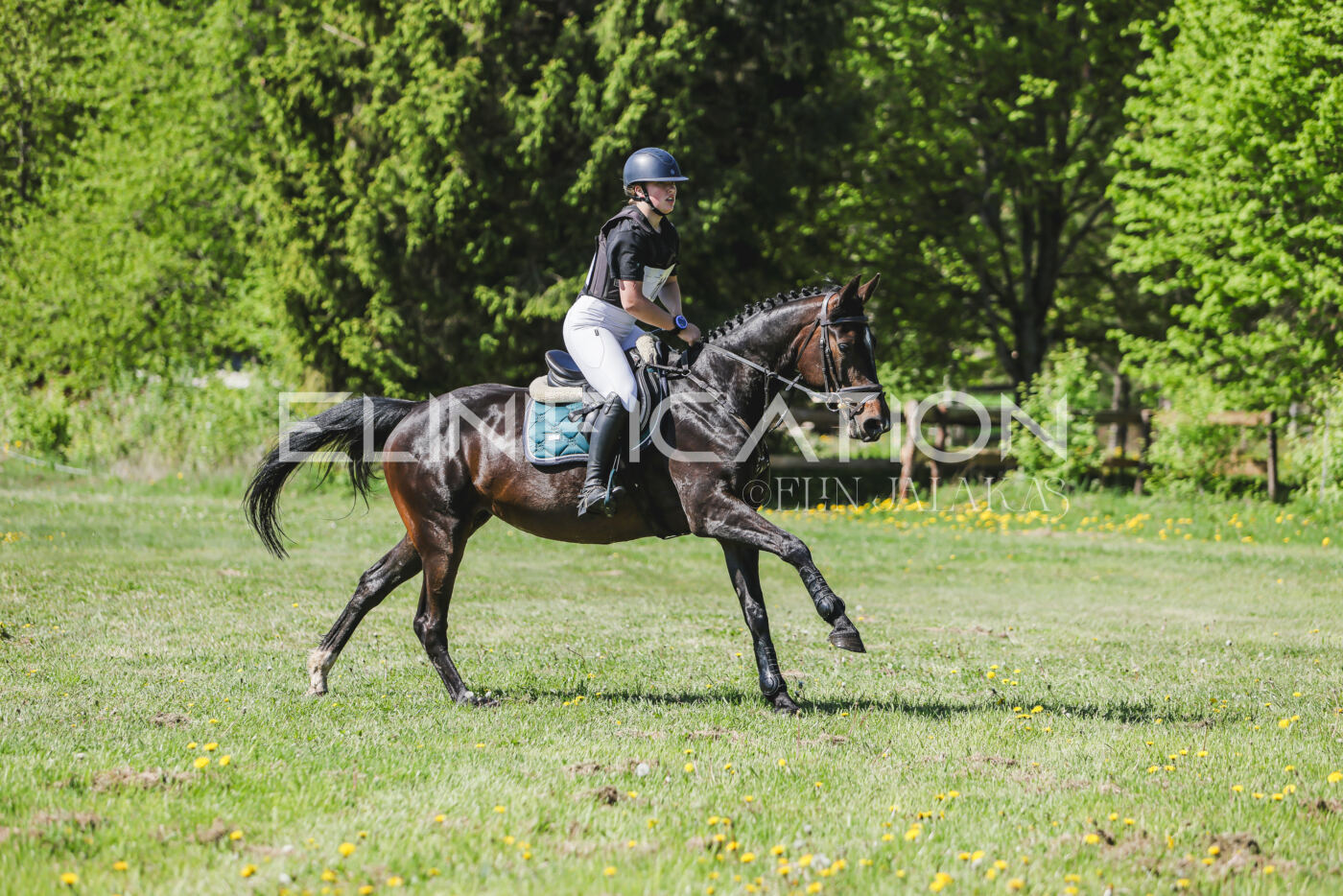 Parnu_CHI_3V_2026_CCN80_XC_185
