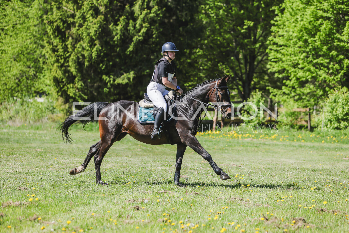 Parnu_CHI_3V_2026_CCN80_XC_186