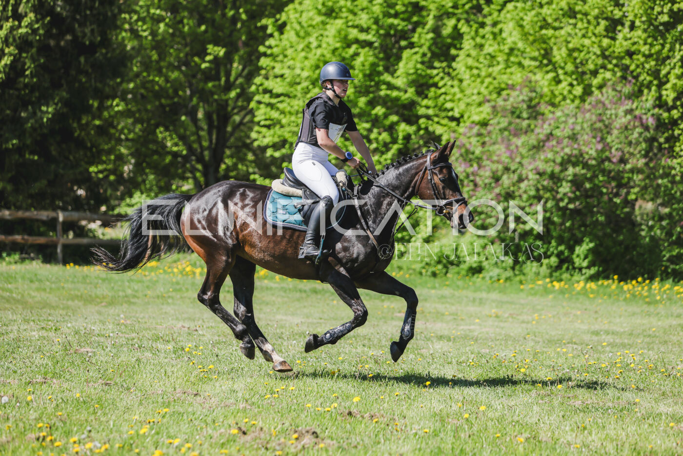 Parnu_CHI_3V_2026_CCN80_XC_187