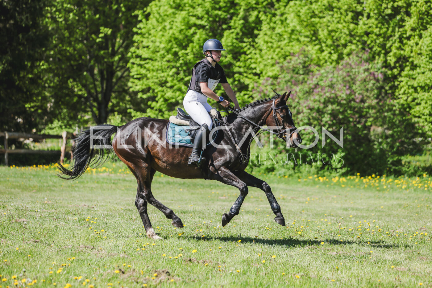 Parnu_CHI_3V_2026_CCN80_XC_188