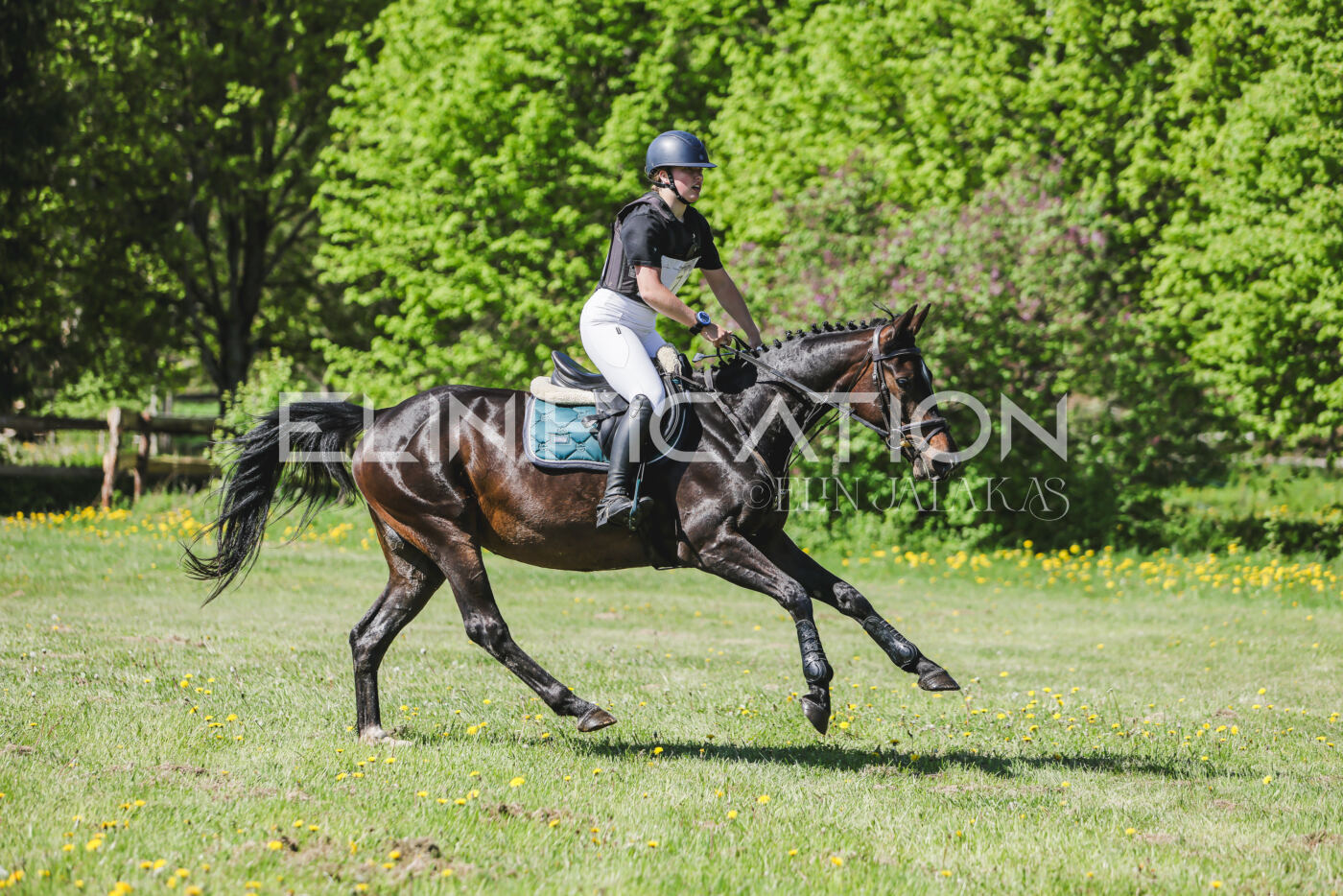 Parnu_CHI_3V_2026_CCN80_XC_189