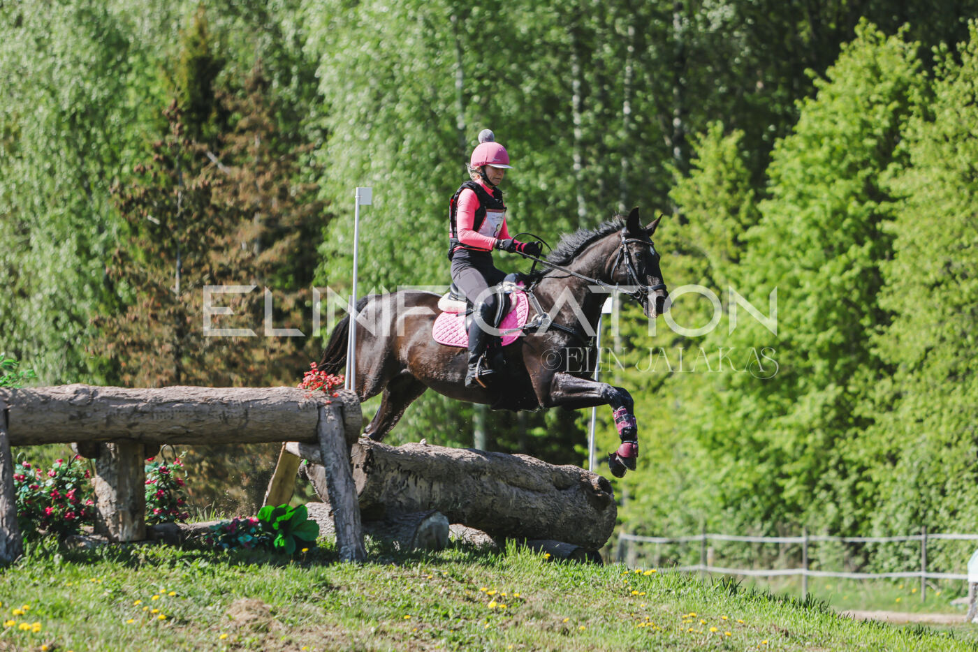Parnu_CHI_3V_2026_CCN80_XC_200