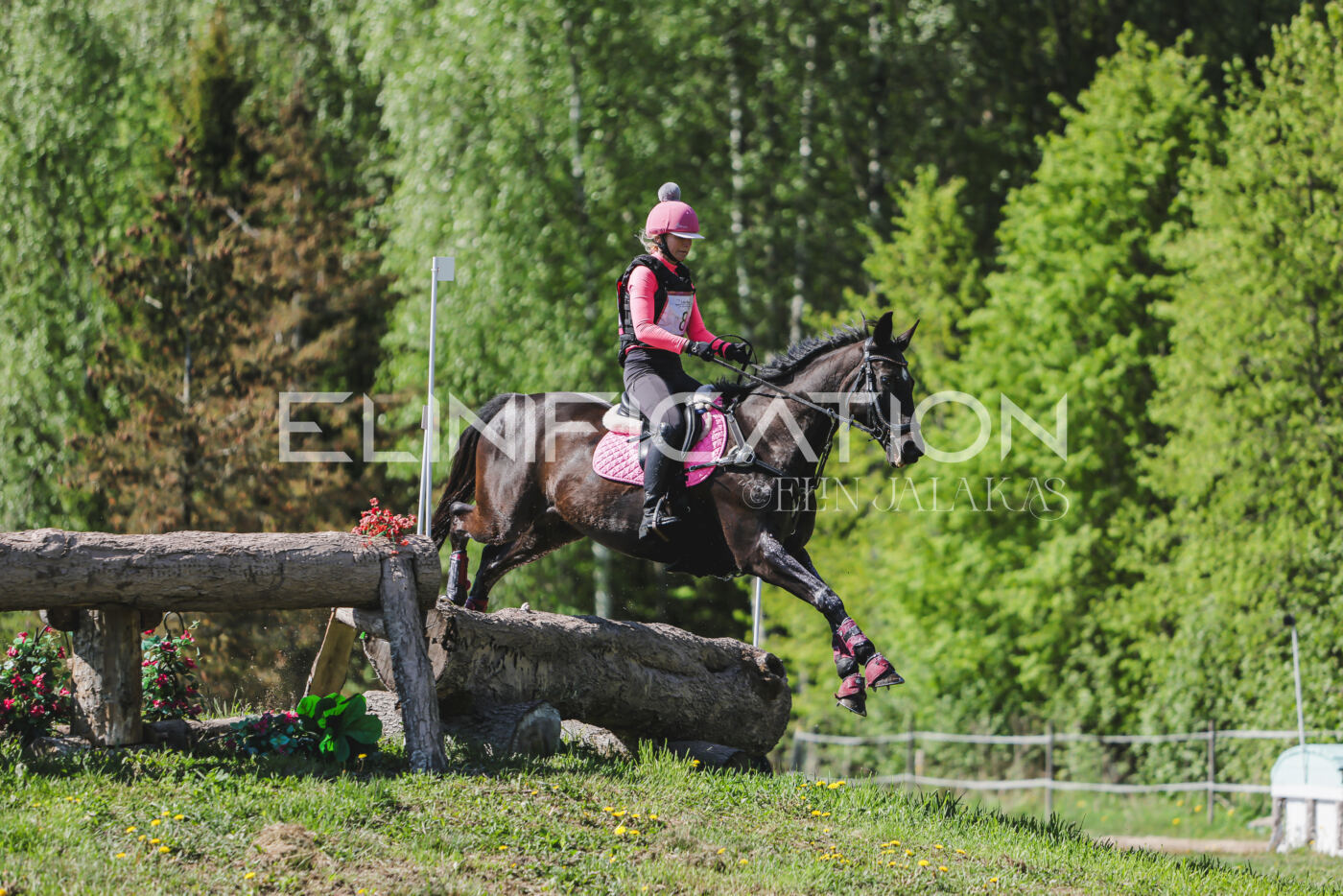 Parnu_CHI_3V_2026_CCN80_XC_201