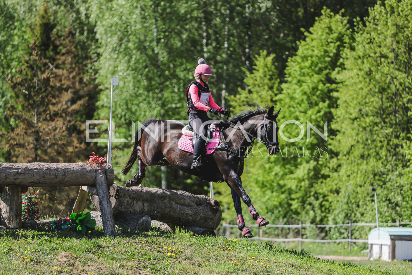 Parnu_CHI_3V_2026_CCN80_XC_202