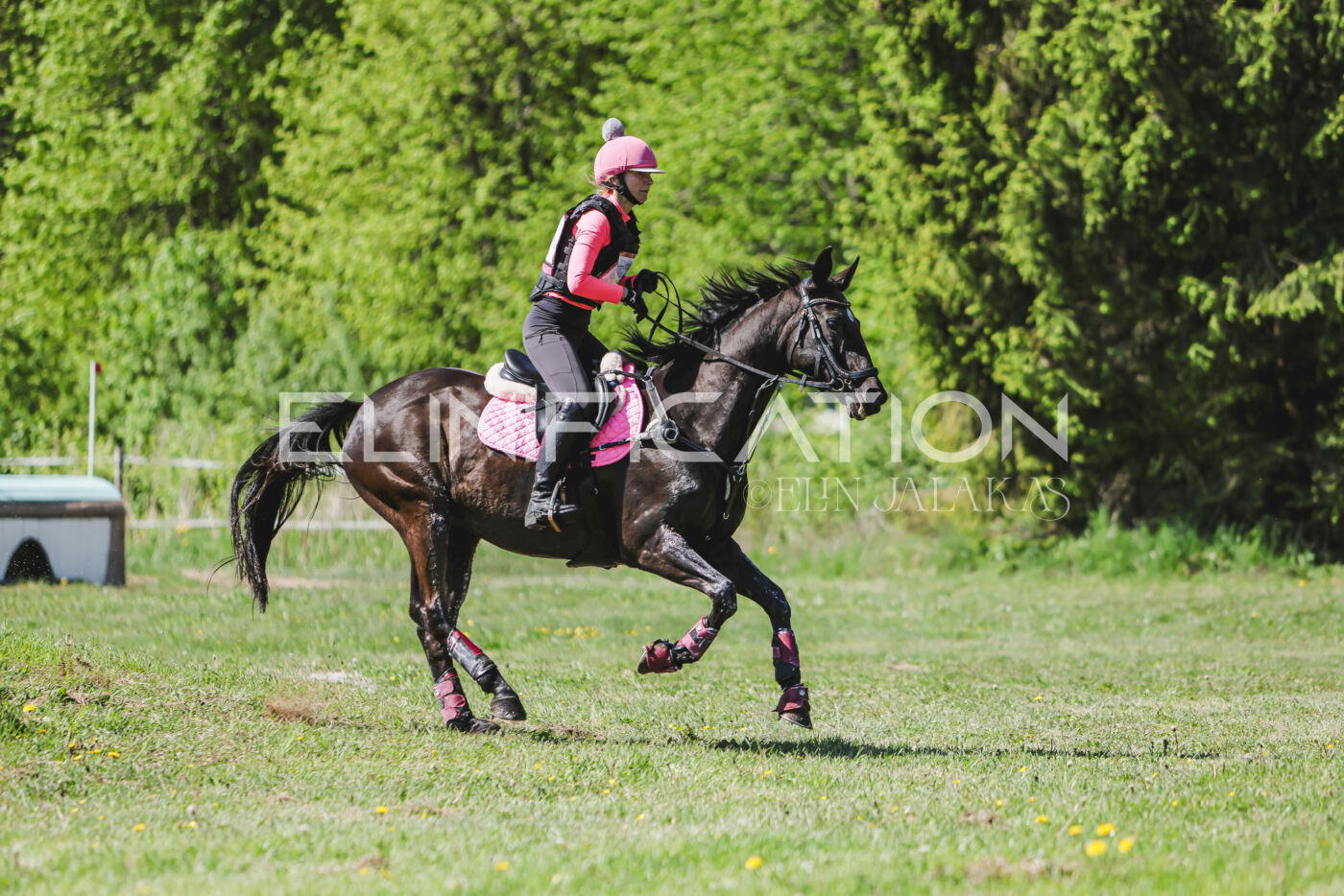 Parnu_CHI_3V_2026_CCN80_XC_203
