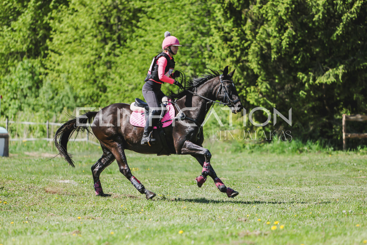 Parnu_CHI_3V_2026_CCN80_XC_204