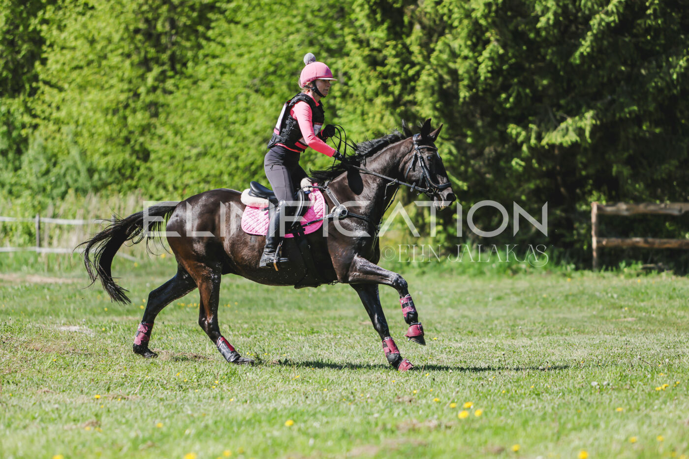 Parnu_CHI_3V_2026_CCN80_XC_205