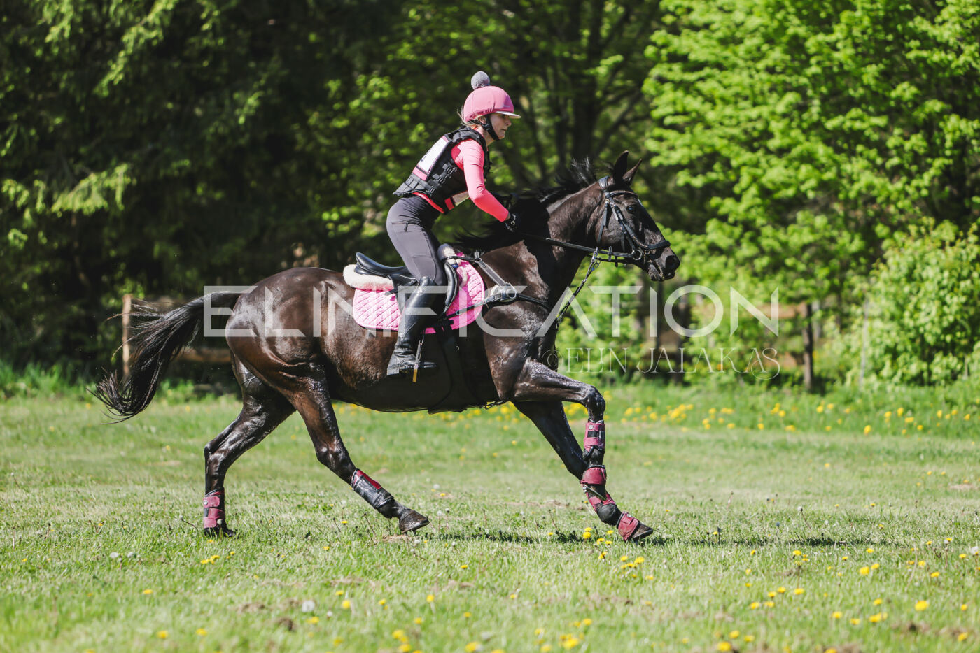Parnu_CHI_3V_2026_CCN80_XC_206