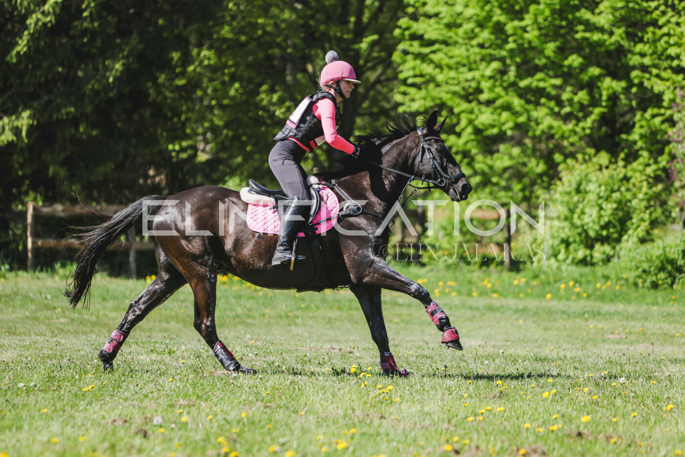 Parnu_CHI_3V_2026_CCN80_XC_207