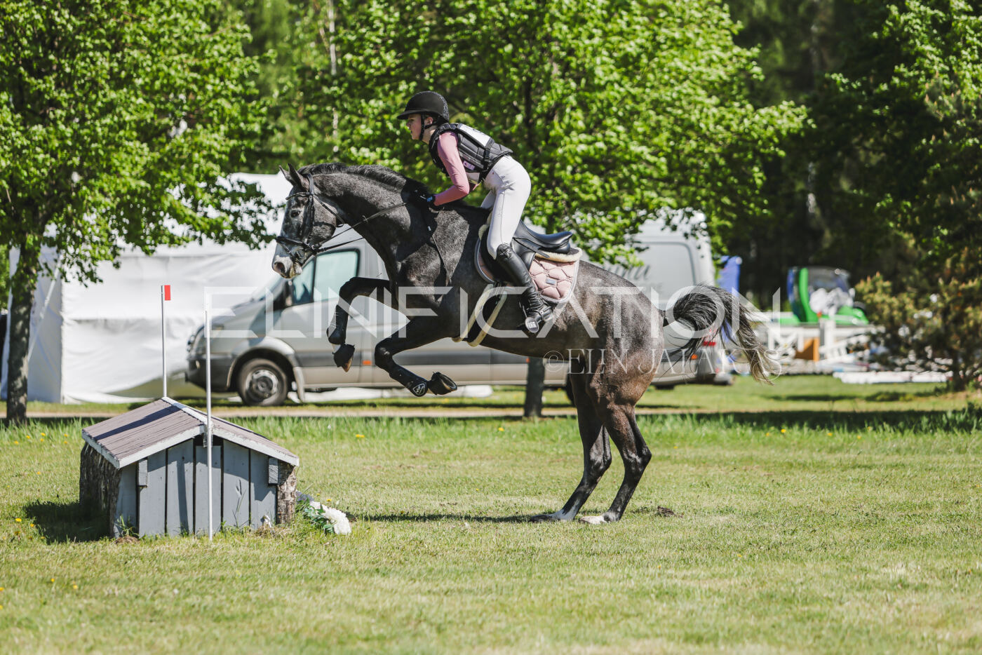 Parnu_CHI_3V_2026_CCN80_XC_208