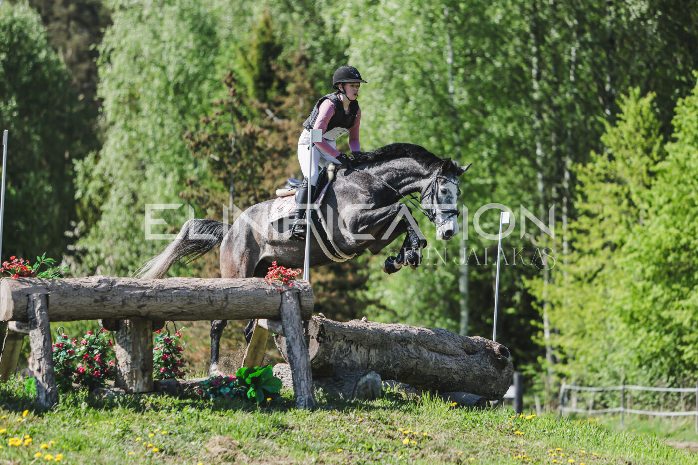 Parnu_CHI_3V_2026_CCN80_XC_217