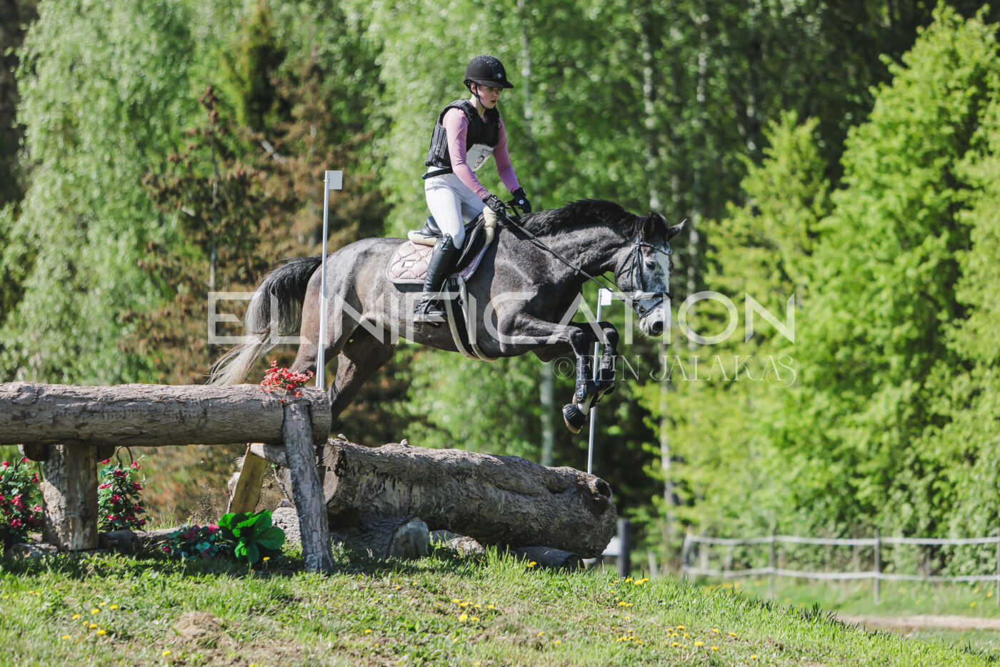 Parnu_CHI_3V_2026_CCN80_XC_220