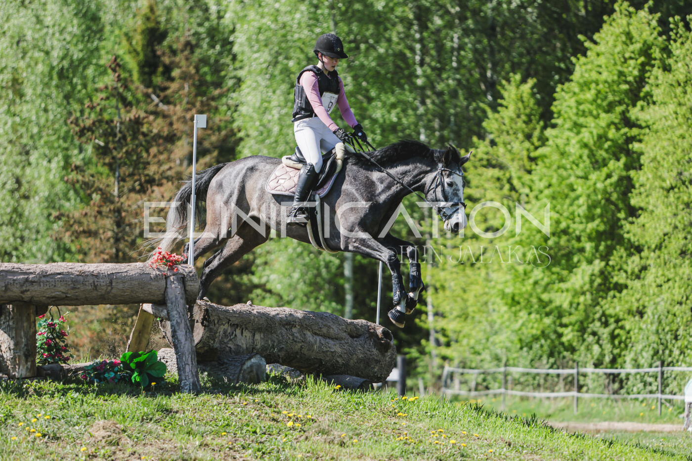 Parnu_CHI_3V_2026_CCN80_XC_221