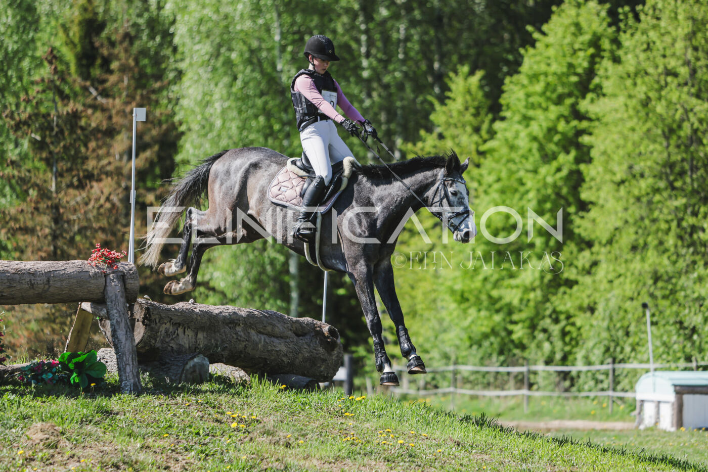 Parnu_CHI_3V_2026_CCN80_XC_223