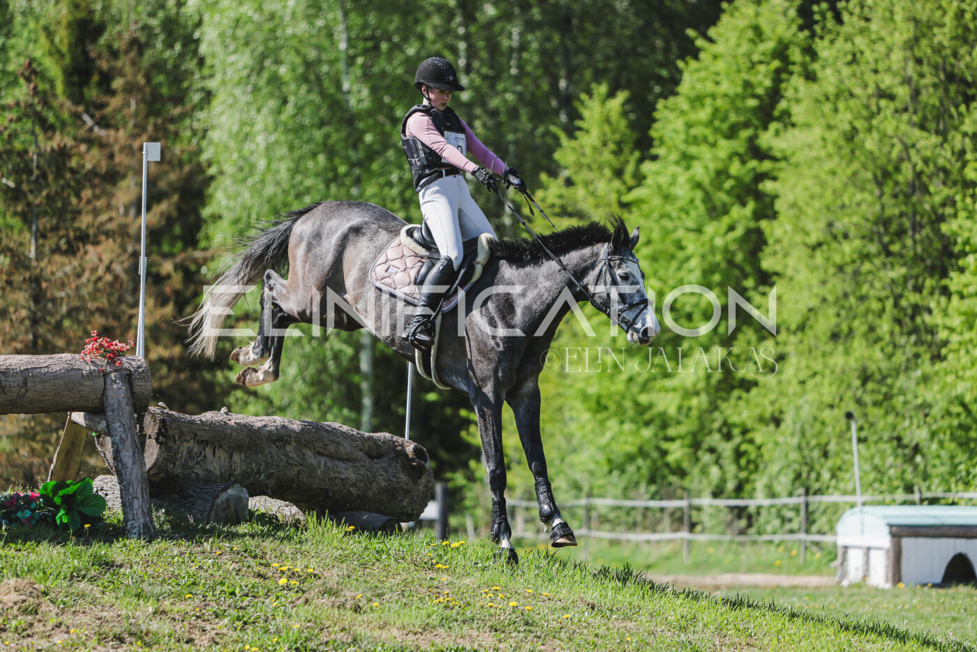 Parnu_CHI_3V_2026_CCN80_XC_224