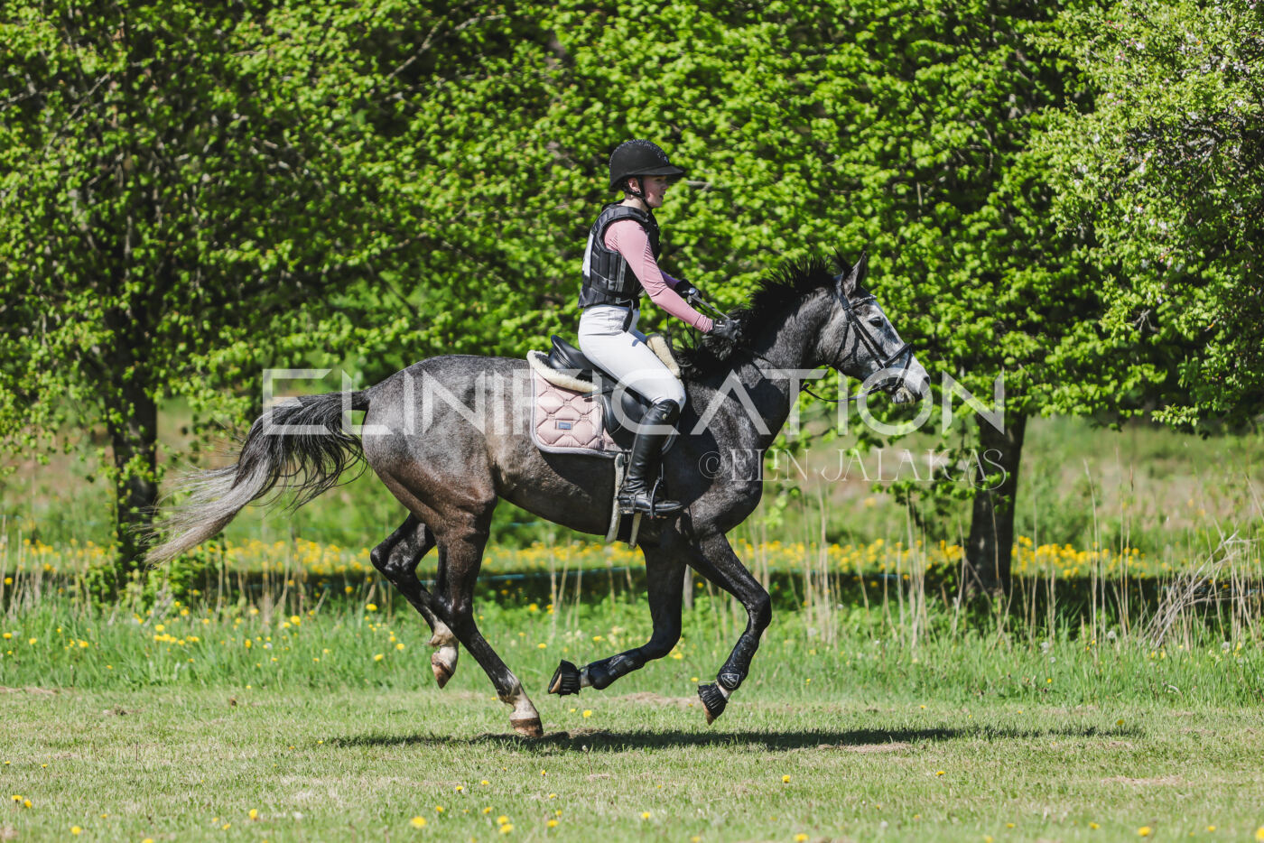 Parnu_CHI_3V_2026_CCN80_XC_225