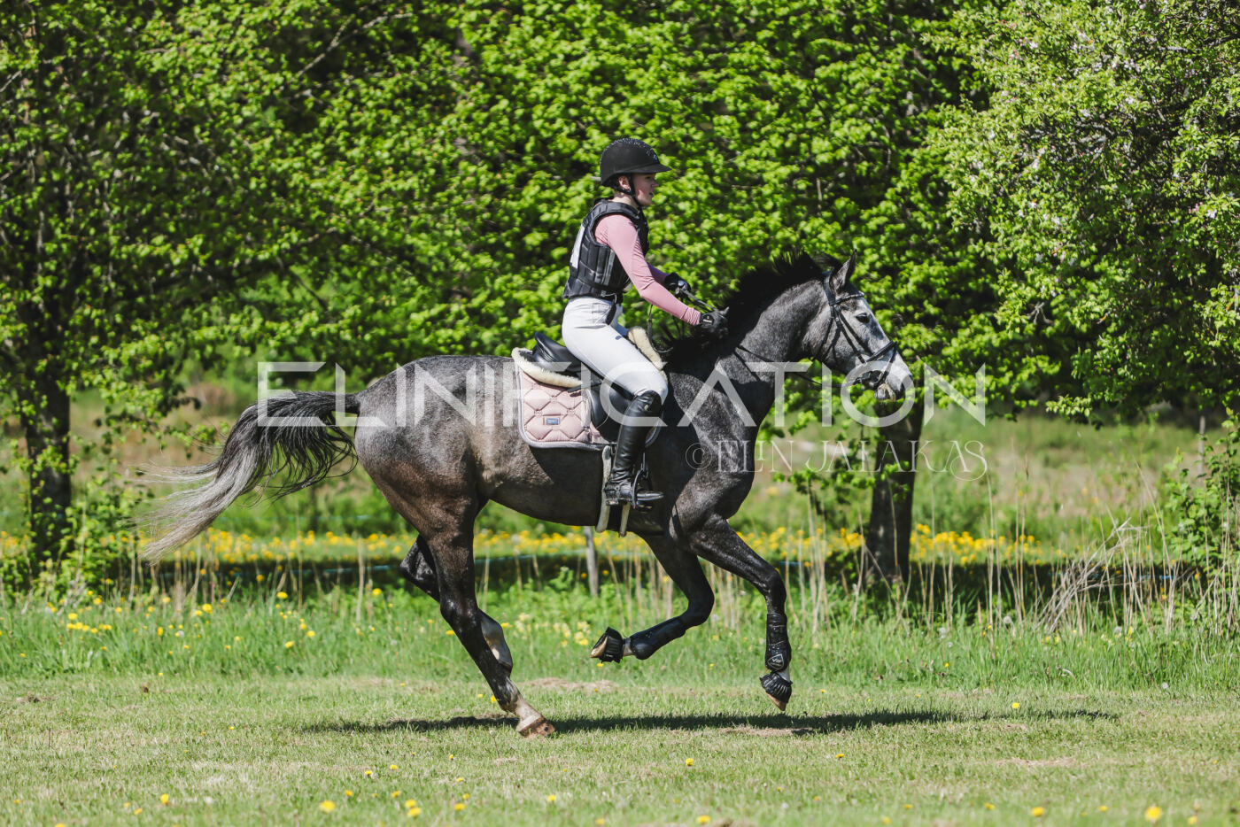 Parnu_CHI_3V_2026_CCN80_XC_226
