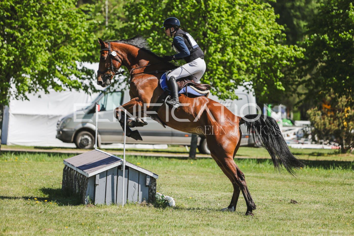 Parnu_CHI_3V_2026_CCN80_XC_228