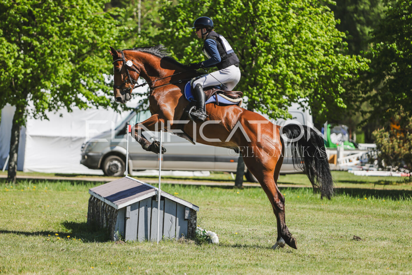 Parnu_CHI_3V_2026_CCN80_XC_229