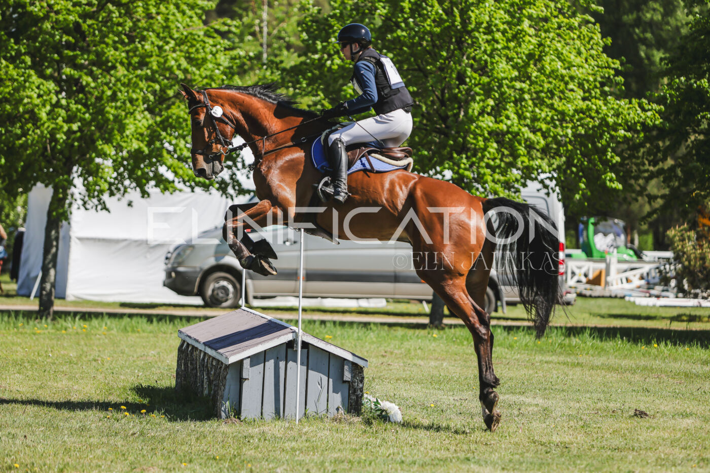 Parnu_CHI_3V_2026_CCN80_XC_230