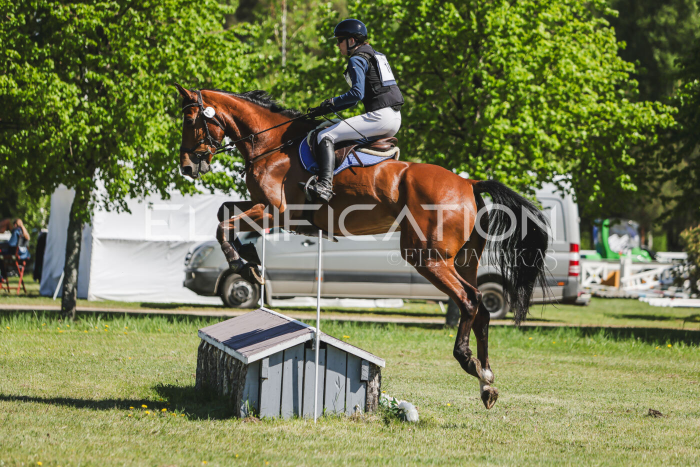 Parnu_CHI_3V_2026_CCN80_XC_231