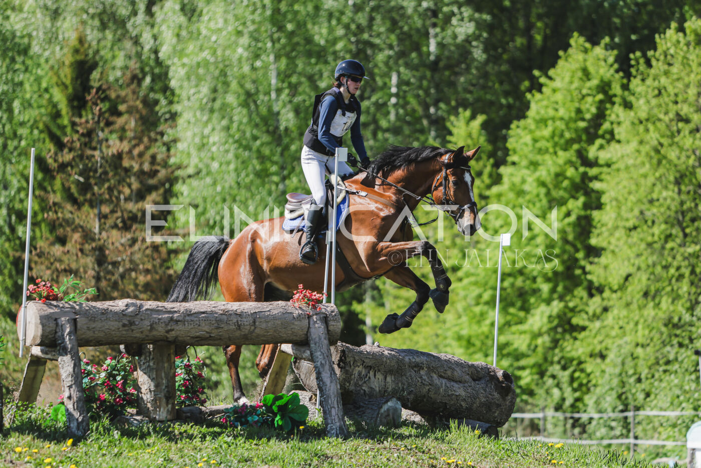 Parnu_CHI_3V_2026_CCN80_XC_233
