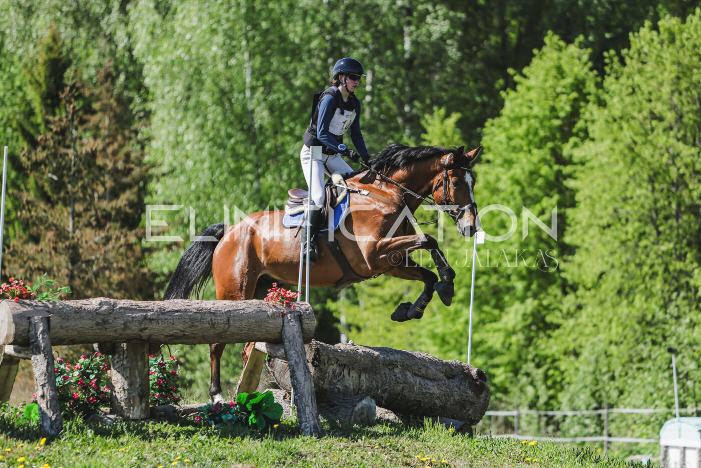 Parnu_CHI_3V_2026_CCN80_XC_234