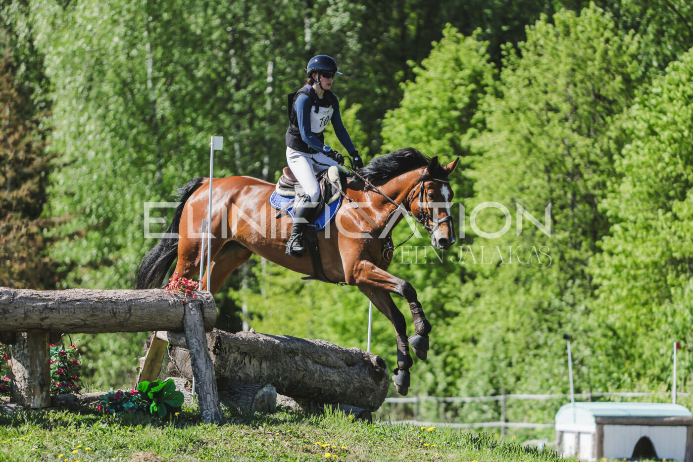 Parnu_CHI_3V_2026_CCN80_XC_235