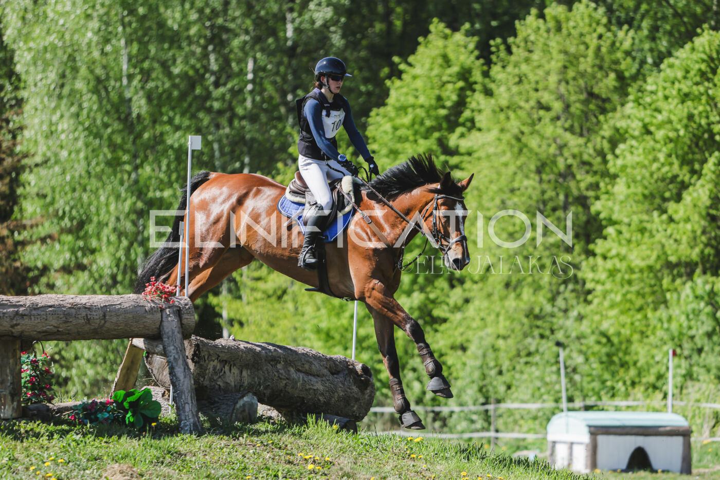 Parnu_CHI_3V_2026_CCN80_XC_236