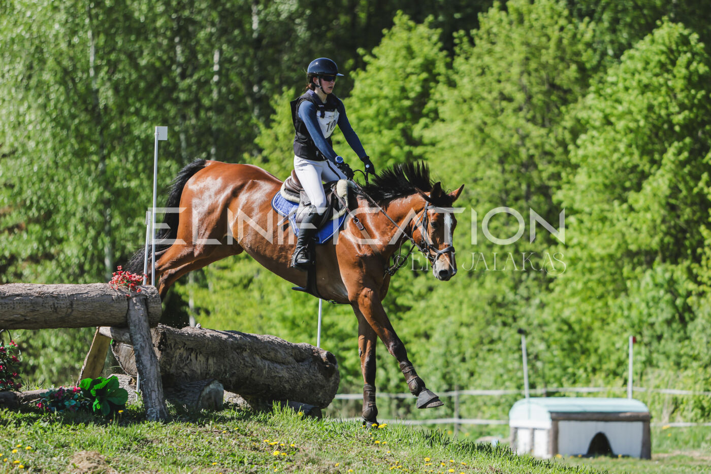 Parnu_CHI_3V_2026_CCN80_XC_237