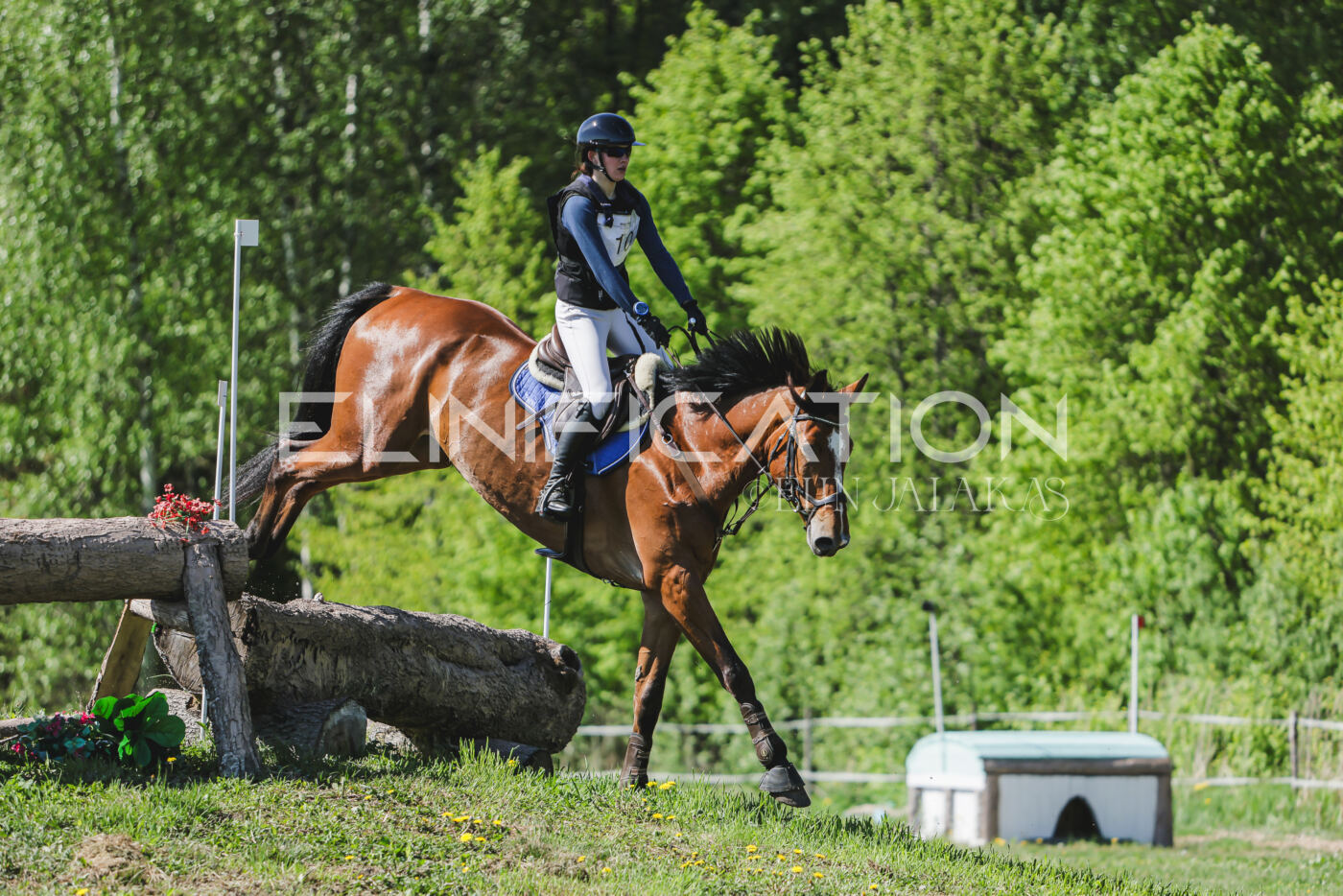 Parnu_CHI_3V_2026_CCN80_XC_238