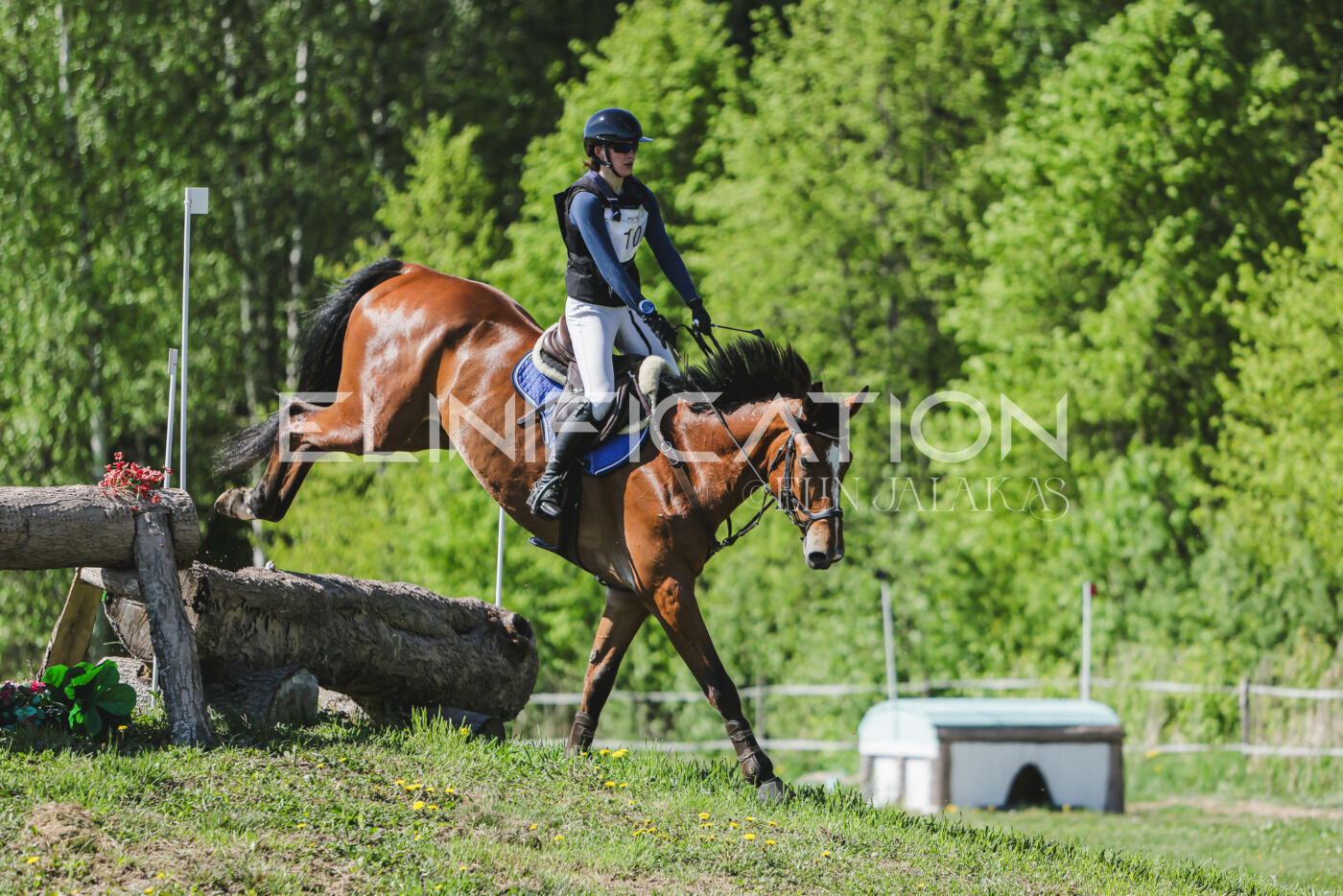 Parnu_CHI_3V_2026_CCN80_XC_239