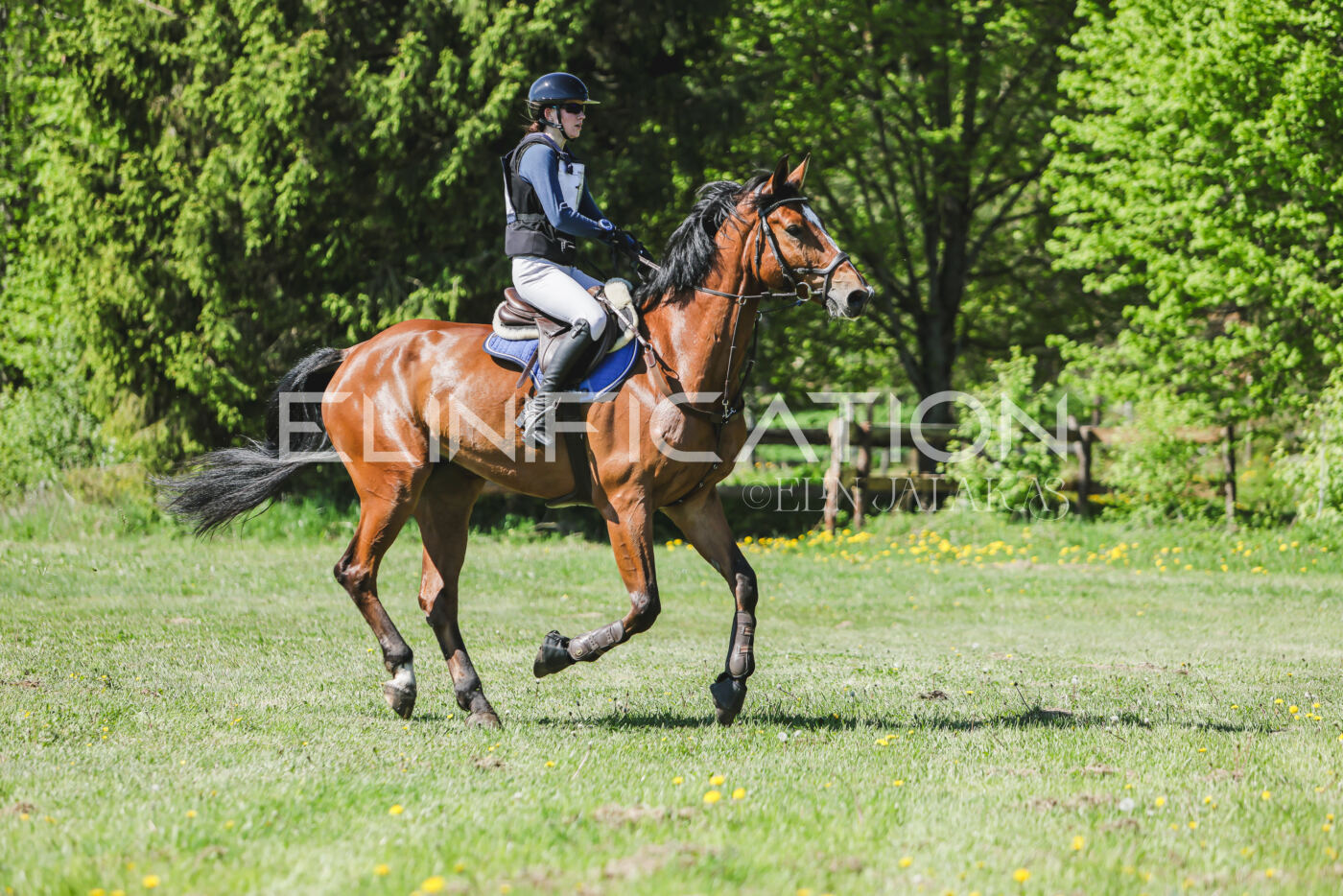 Parnu_CHI_3V_2026_CCN80_XC_240