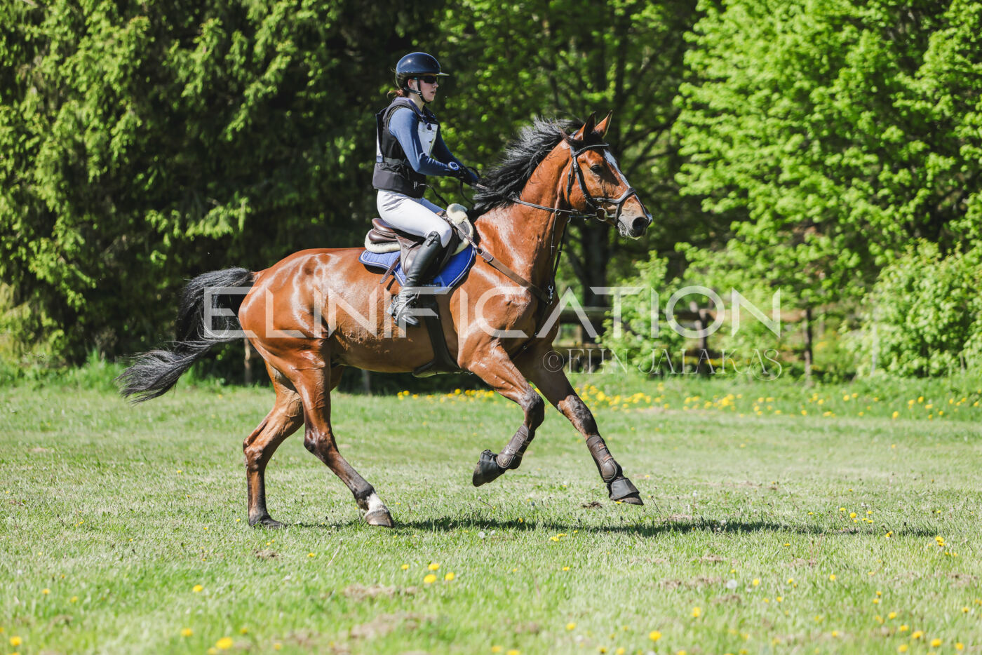 Parnu_CHI_3V_2026_CCN80_XC_242