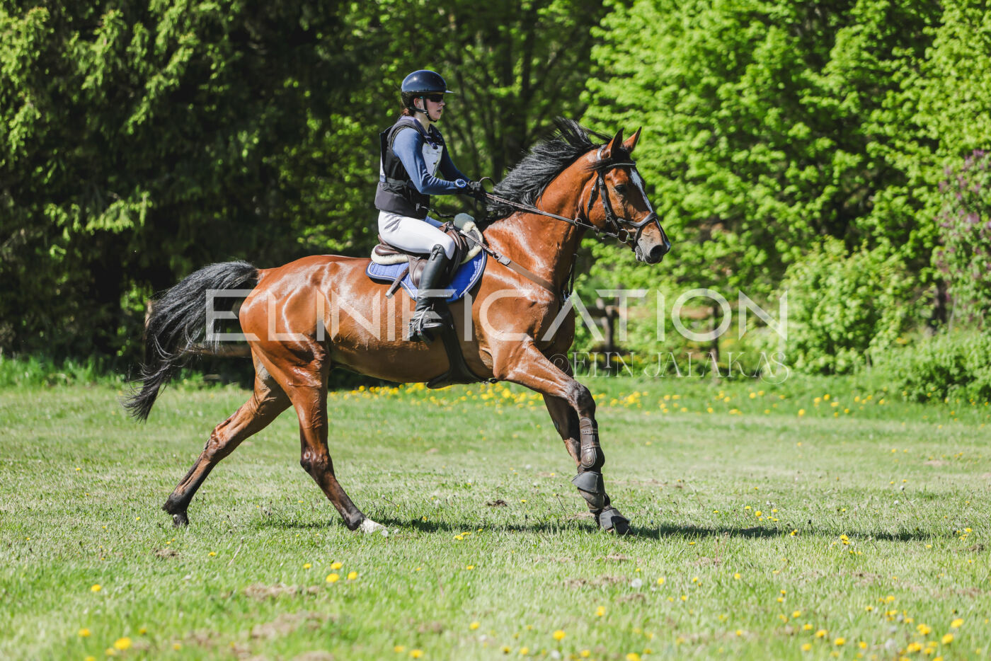 Parnu_CHI_3V_2026_CCN80_XC_244