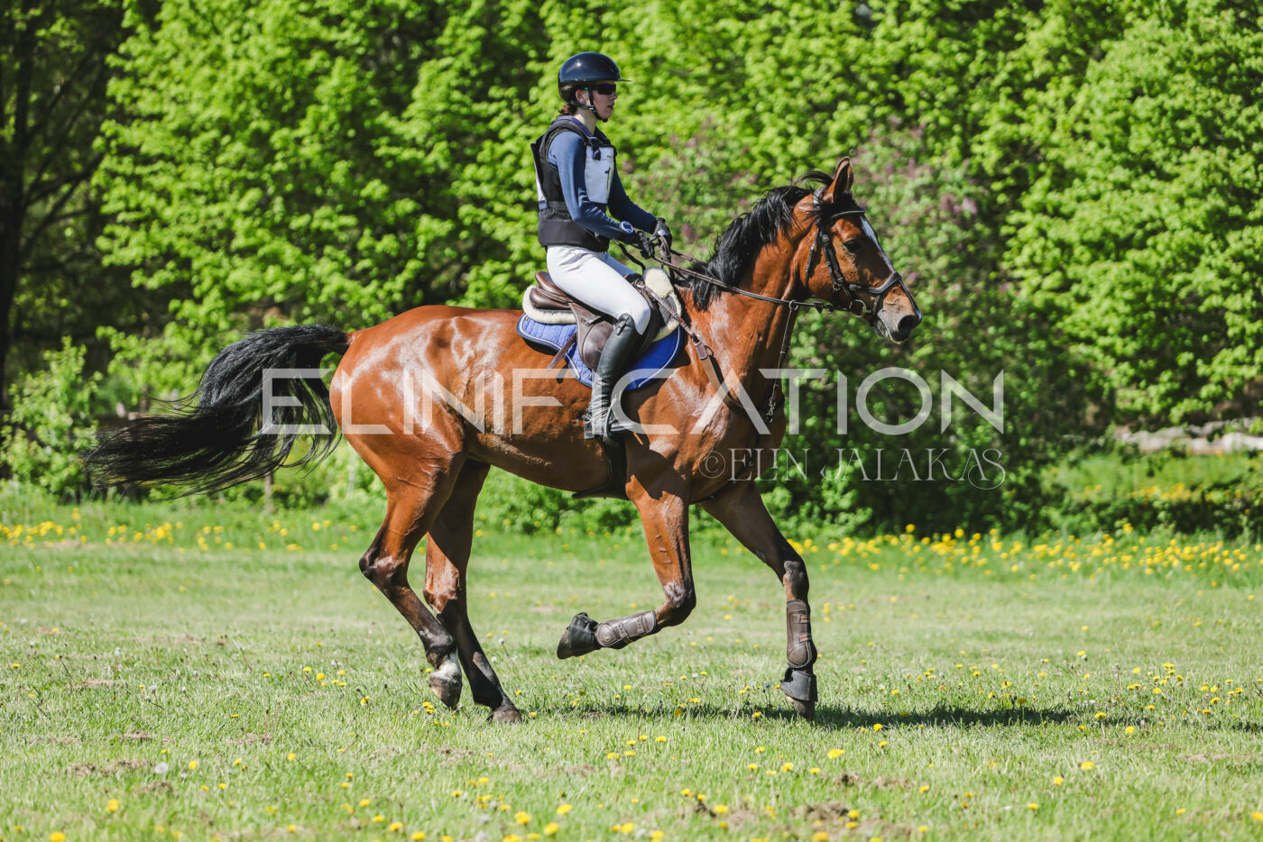 Parnu_CHI_3V_2026_CCN80_XC_245