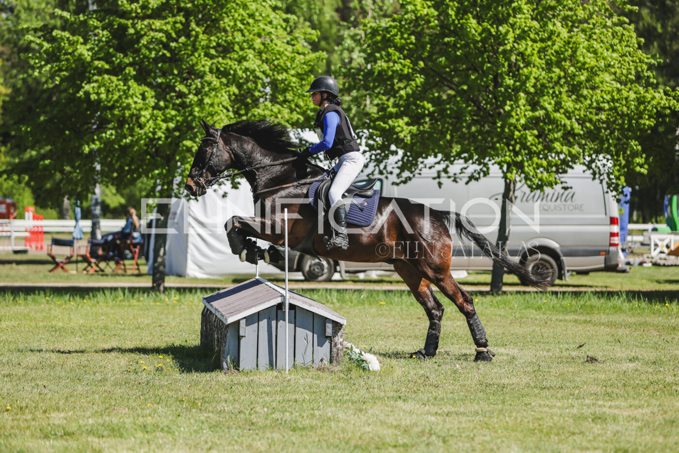 Parnu_CHI_3V_2026_CCN80_XC_248