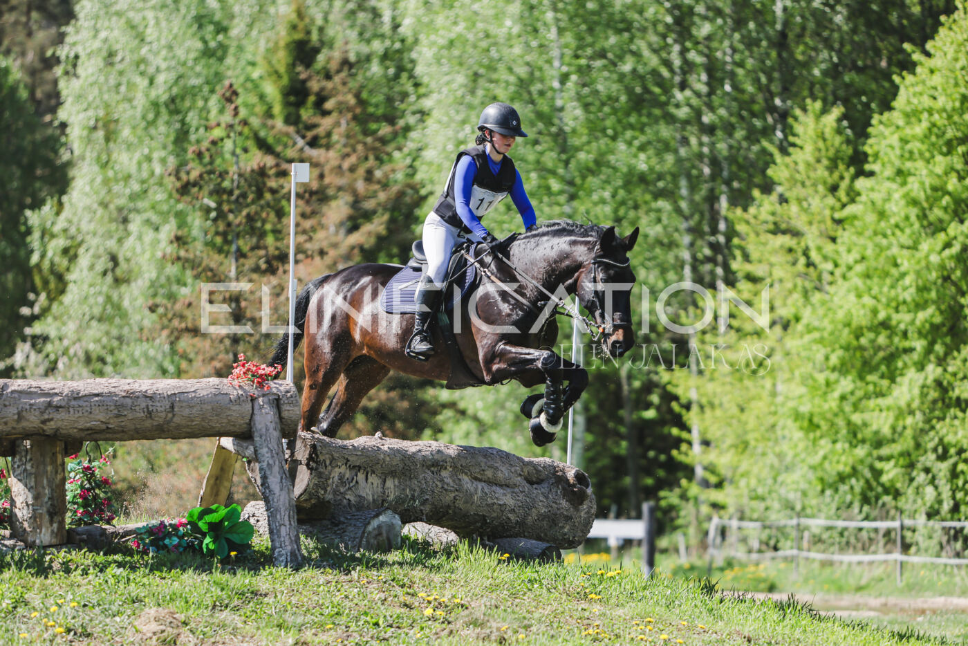 Parnu_CHI_3V_2026_CCN80_XC_252