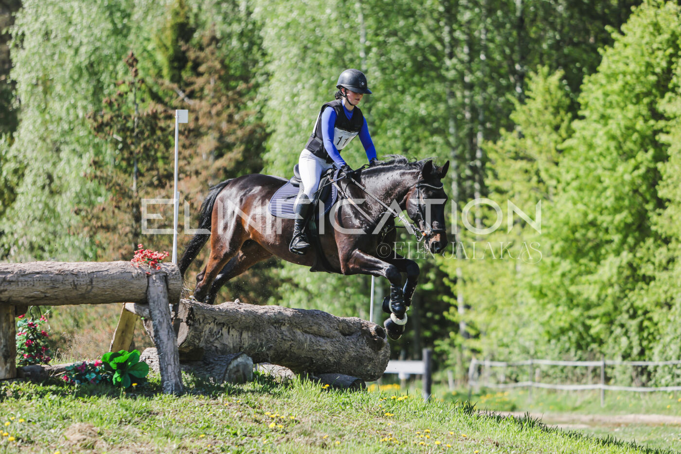 Parnu_CHI_3V_2026_CCN80_XC_253