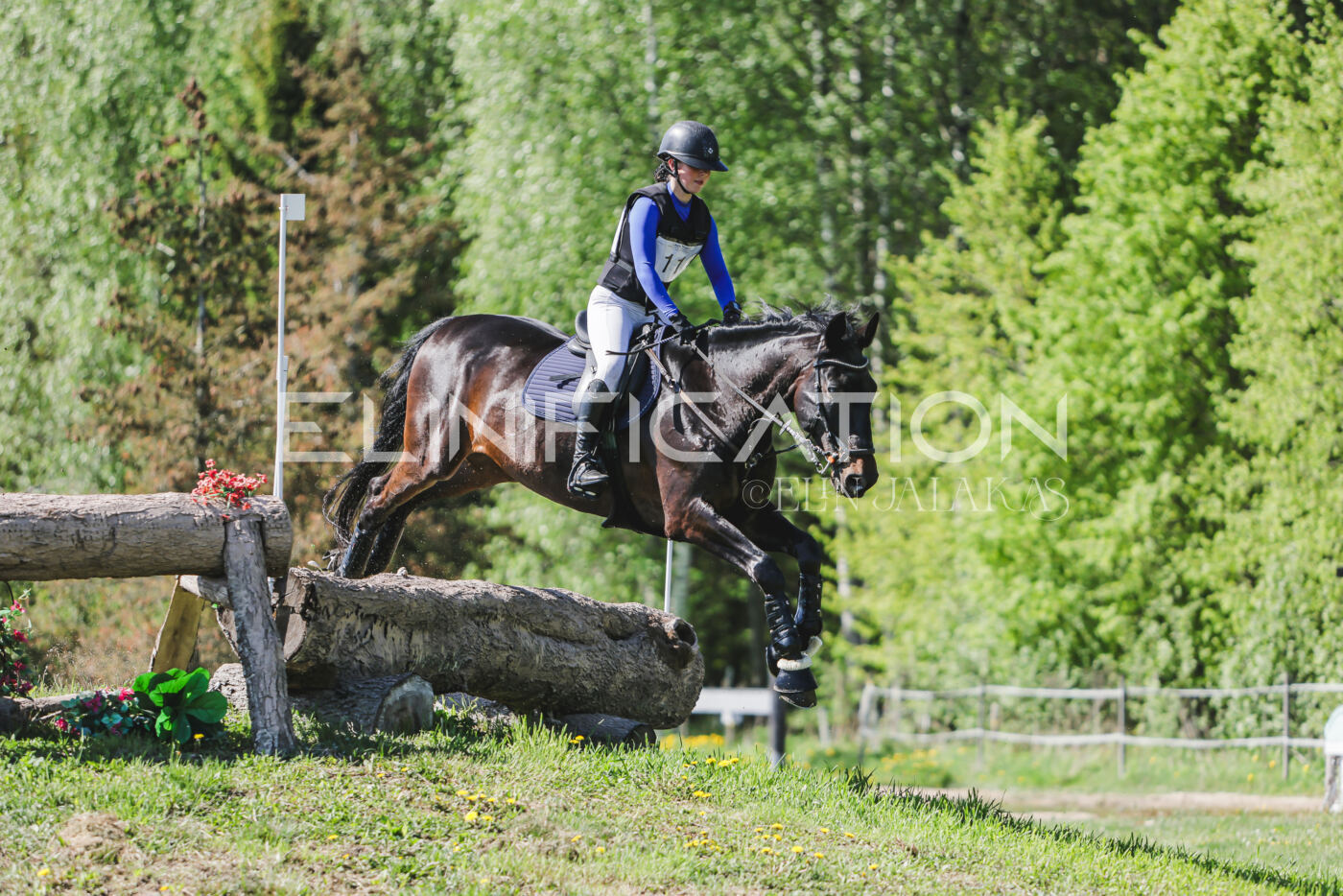 Parnu_CHI_3V_2026_CCN80_XC_254