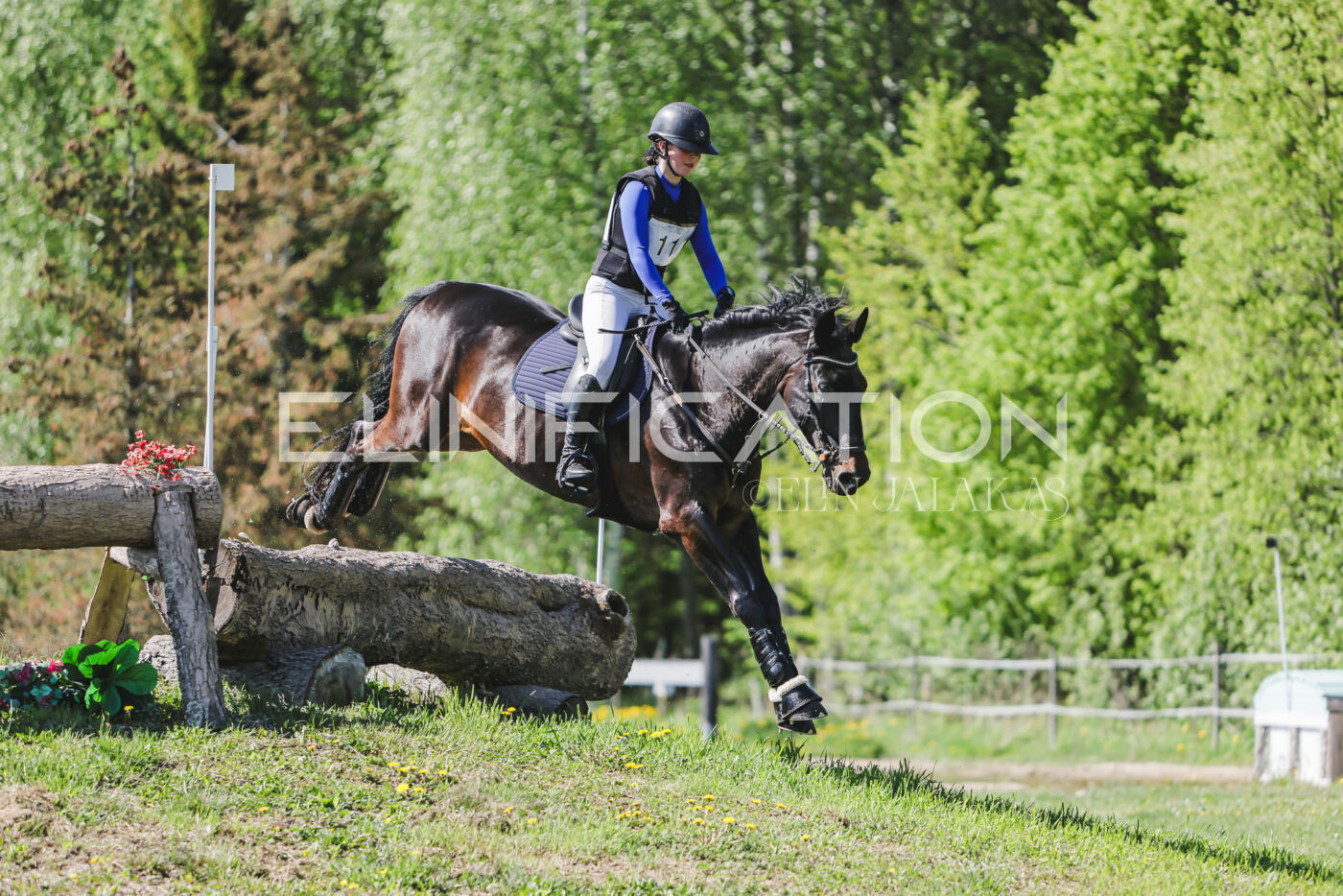 Parnu_CHI_3V_2026_CCN80_XC_255
