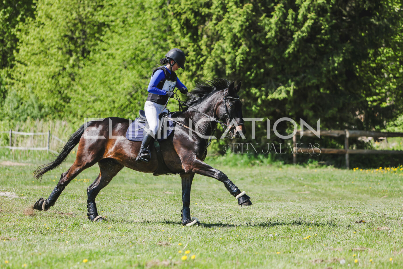 Parnu_CHI_3V_2026_CCN80_XC_256