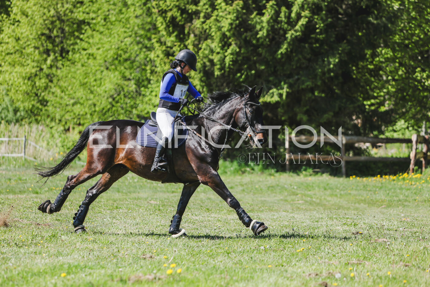 Parnu_CHI_3V_2026_CCN80_XC_257