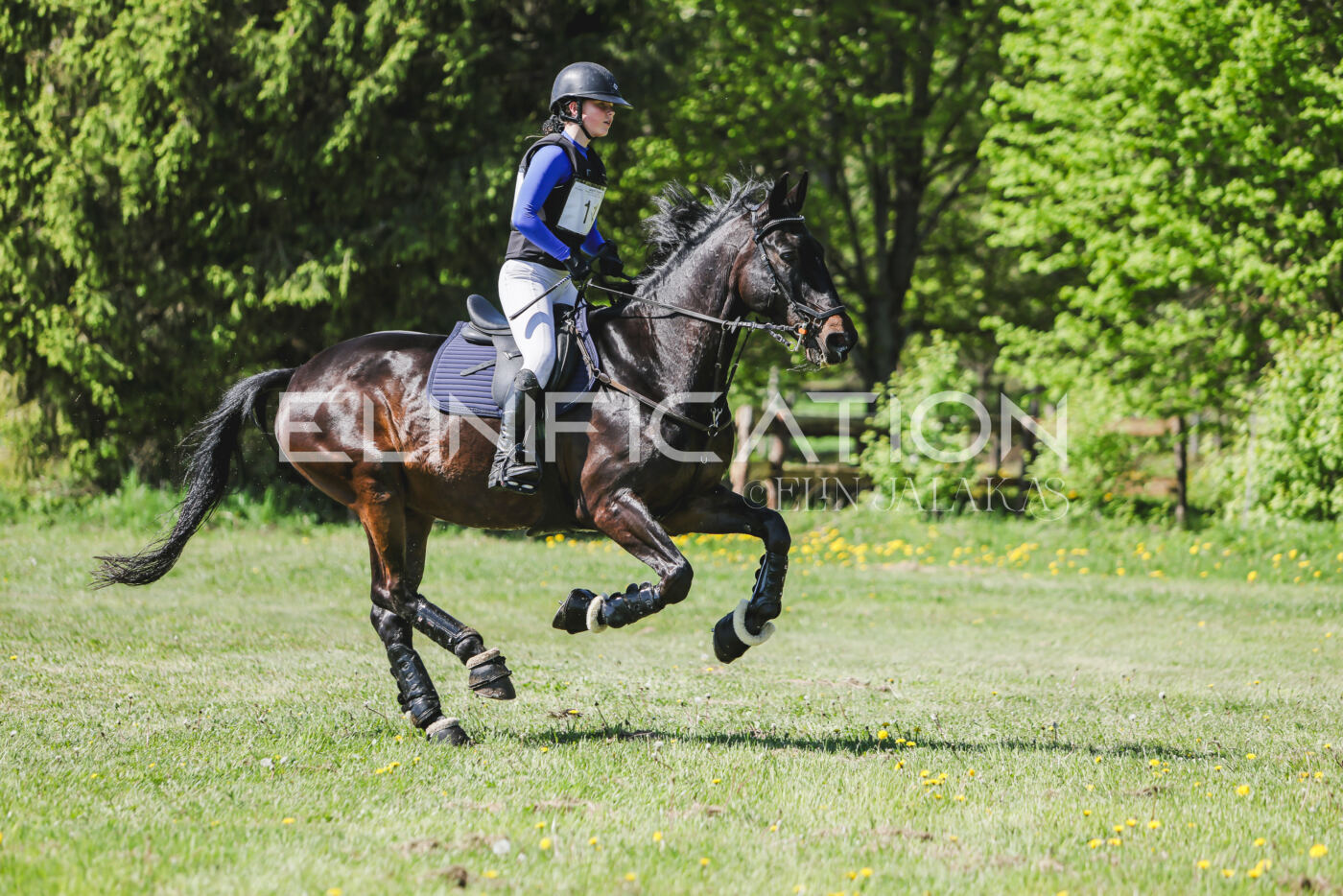 Parnu_CHI_3V_2026_CCN80_XC_258