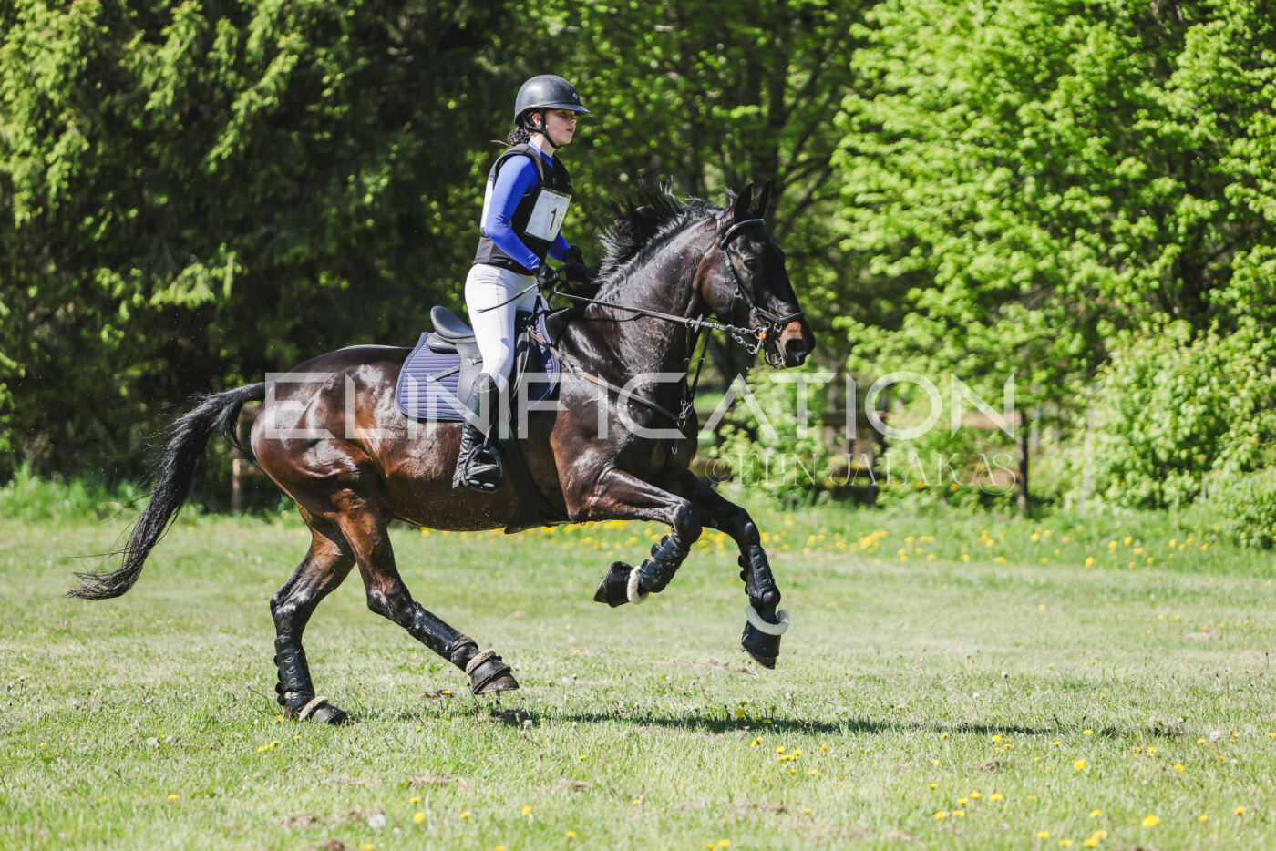 Parnu_CHI_3V_2026_CCN80_XC_259