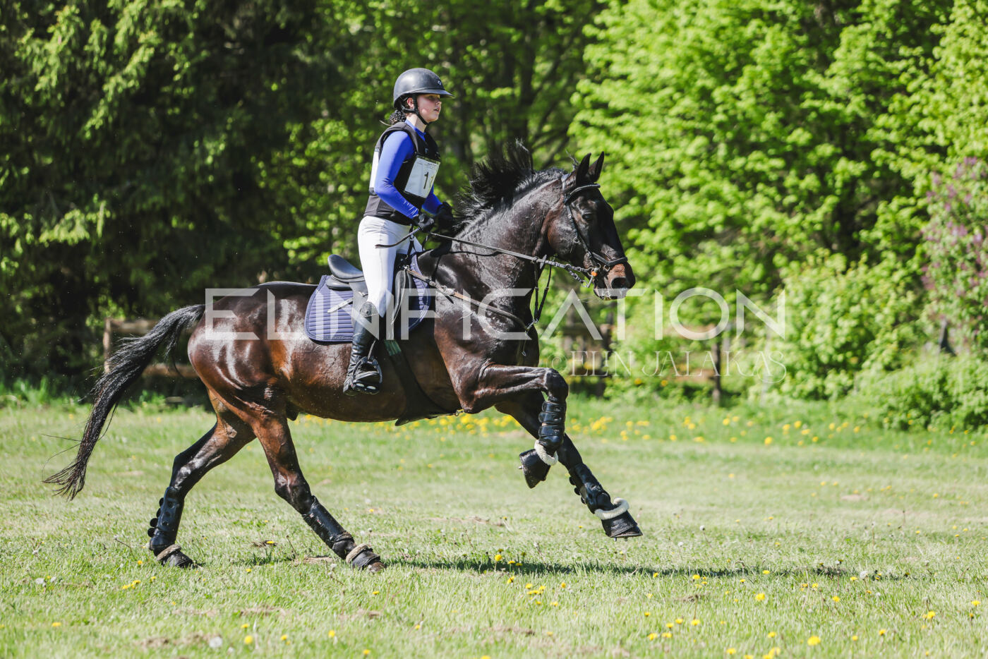 Parnu_CHI_3V_2026_CCN80_XC_260