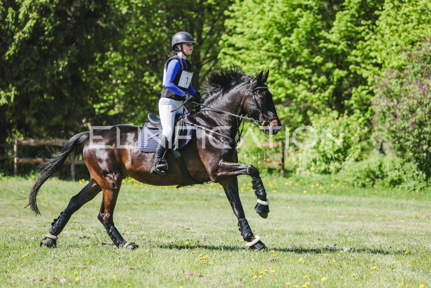 Parnu_CHI_3V_2026_CCN80_XC_261