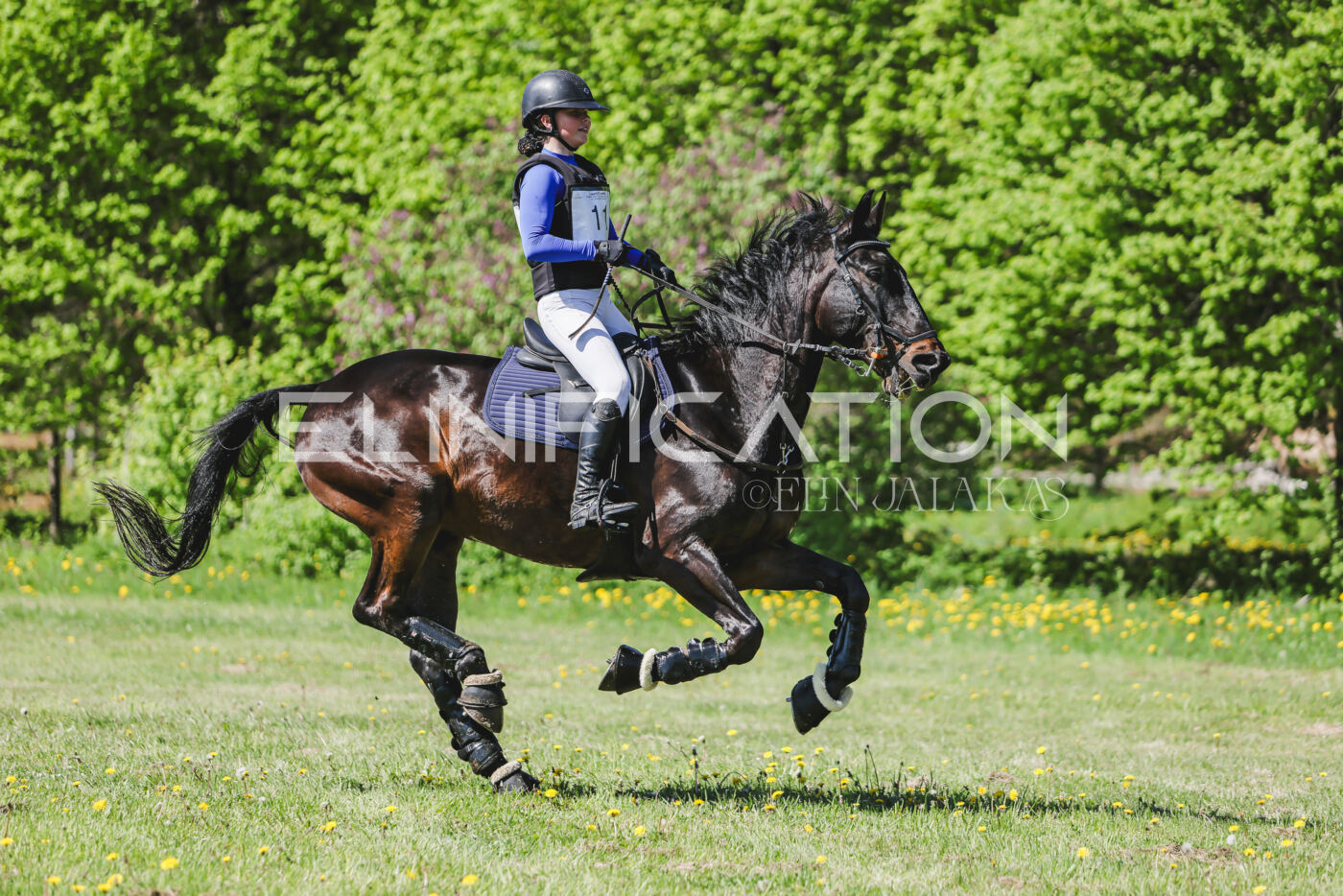 Parnu_CHI_3V_2026_CCN80_XC_262